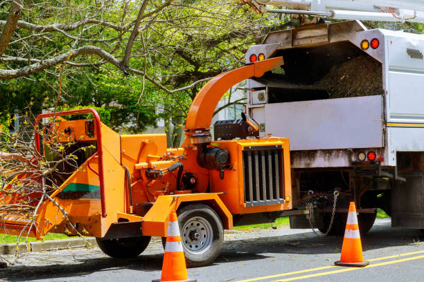 Best Tree Preservation Services  in Wyndham, VA
