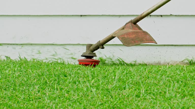 Best Lawn Drainage Solutions  in Wyndham, VA